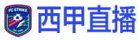 西甲直播